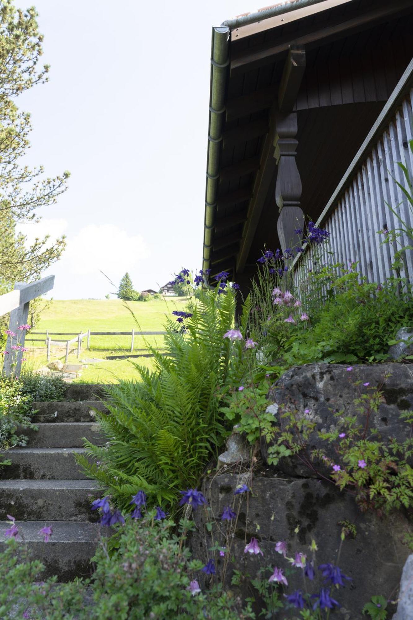 Schoenau Wildhaus Exterior photo